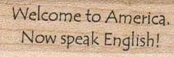 Welcome To America 3/4 X 1 3/4