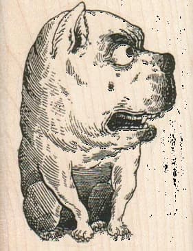 Sideways Looking Dog 2 X 2 1/2