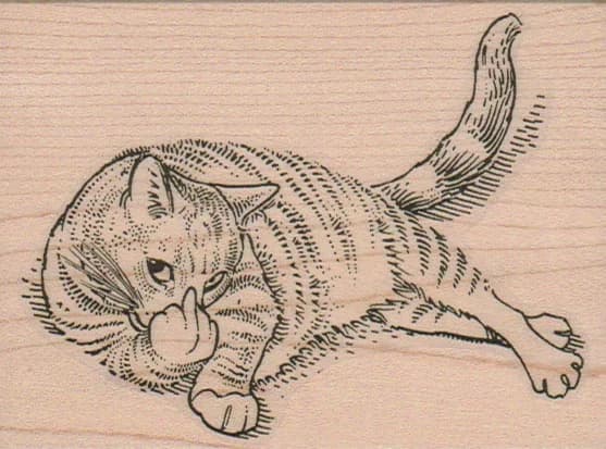 Cat Finger 3 X 3 3/4