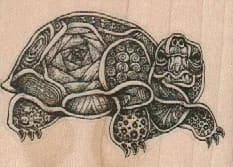 Tangle Turtle 2 1/2 X 1 3/4