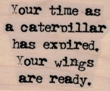 Your Time As A Caterpillar 1 3/4 X 2