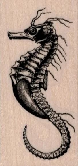 Seahorse 1 1/2 X 3