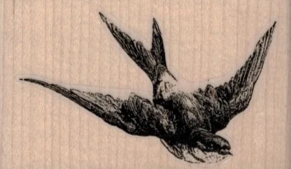 Swallow Flying 3 X 1 3/4