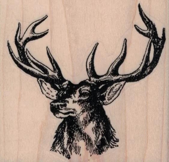 Deer Head By Cat Kerr 3 X 2 3/4