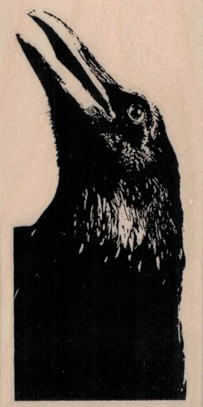 Raven Looking Up 2 1/4 X 4 1/4