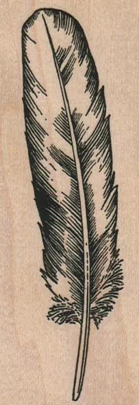 Feather 1 1/2 X 4