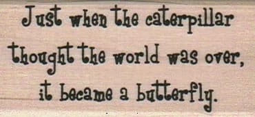 Just When The Caterpillar 1 1/4 X 2 1/2