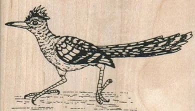 Roadrunner 3 1/2 X 2