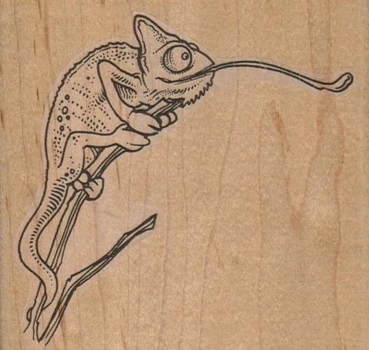 Lizard Tongue 3 3/4 X 3 1/2