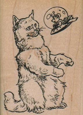 Cat With Space Mouse 2 X 2 3/4
