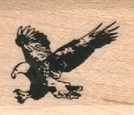 Eagle Flying Left 1 X 1