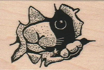 Cat Peeking 2 X 2 3/4
